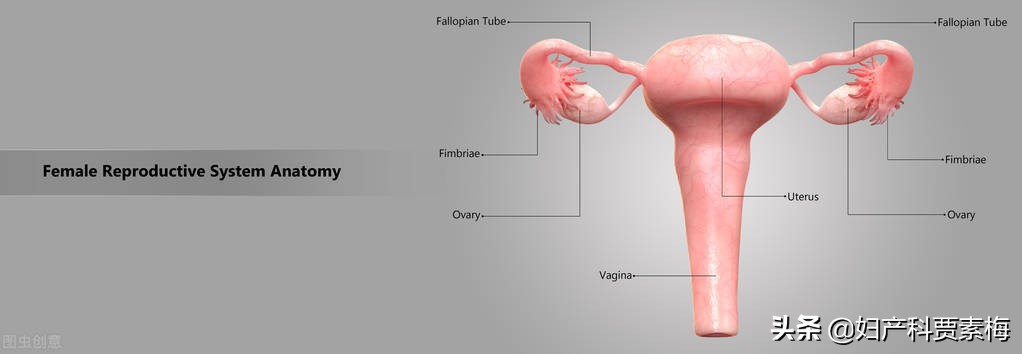 得了宫腔粘连就一定不孕了吗,患有宫腔粘连能怀孕吗