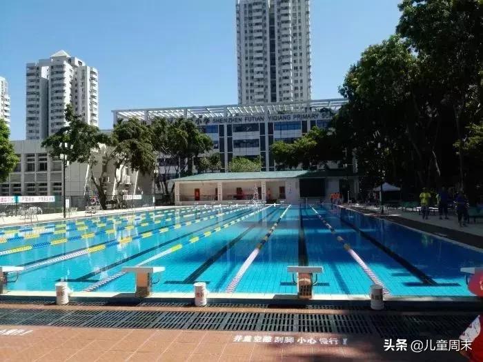 深圳游泳培训班哪家最好,深圳哪里有游泳培训班