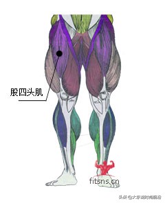 减脂健身计划一周表,减脂健身计划一周表图