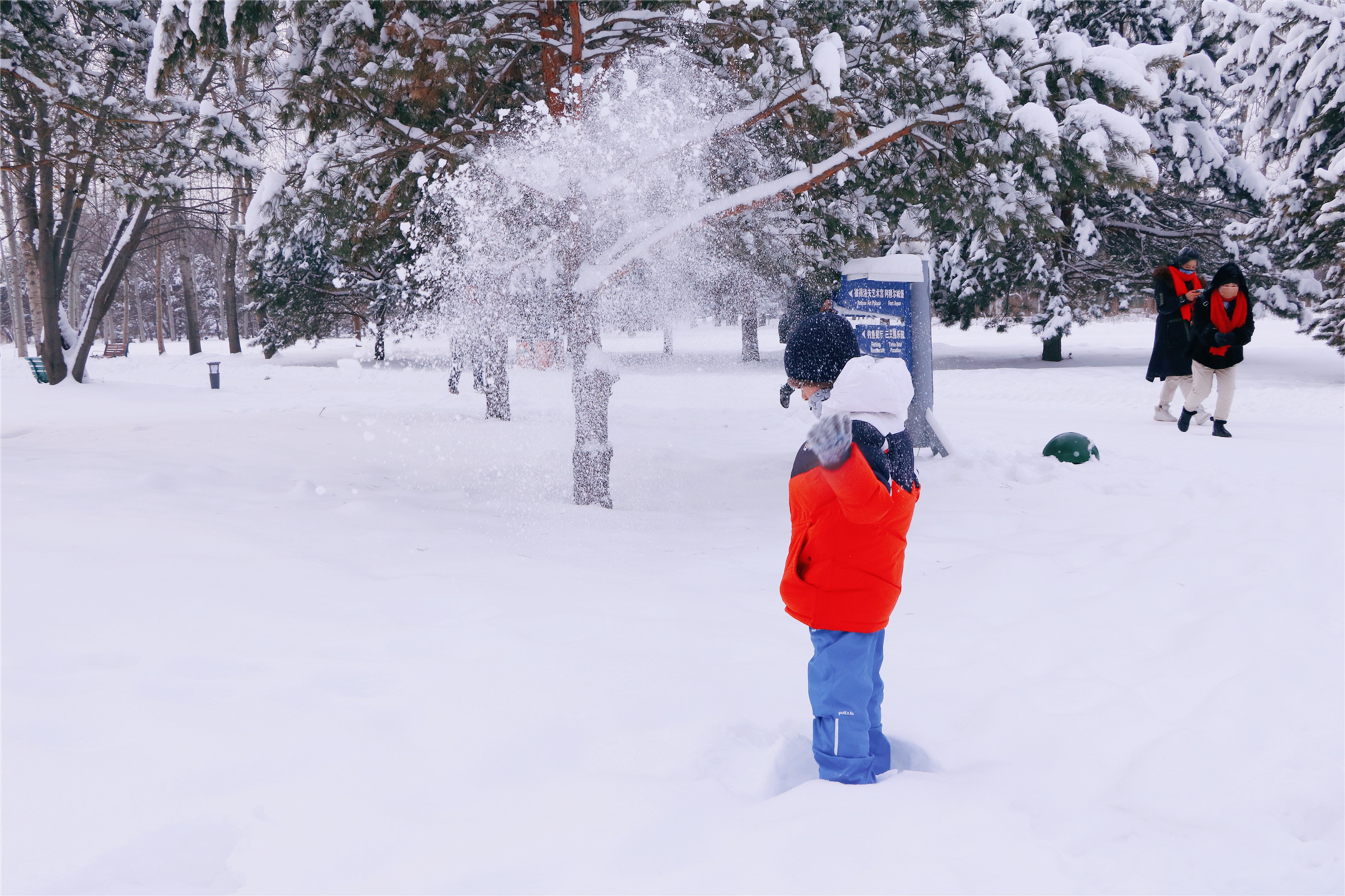 伏尔加庄园和俄罗斯风情小镇,伏尔加庄园浪漫的俄式冬季