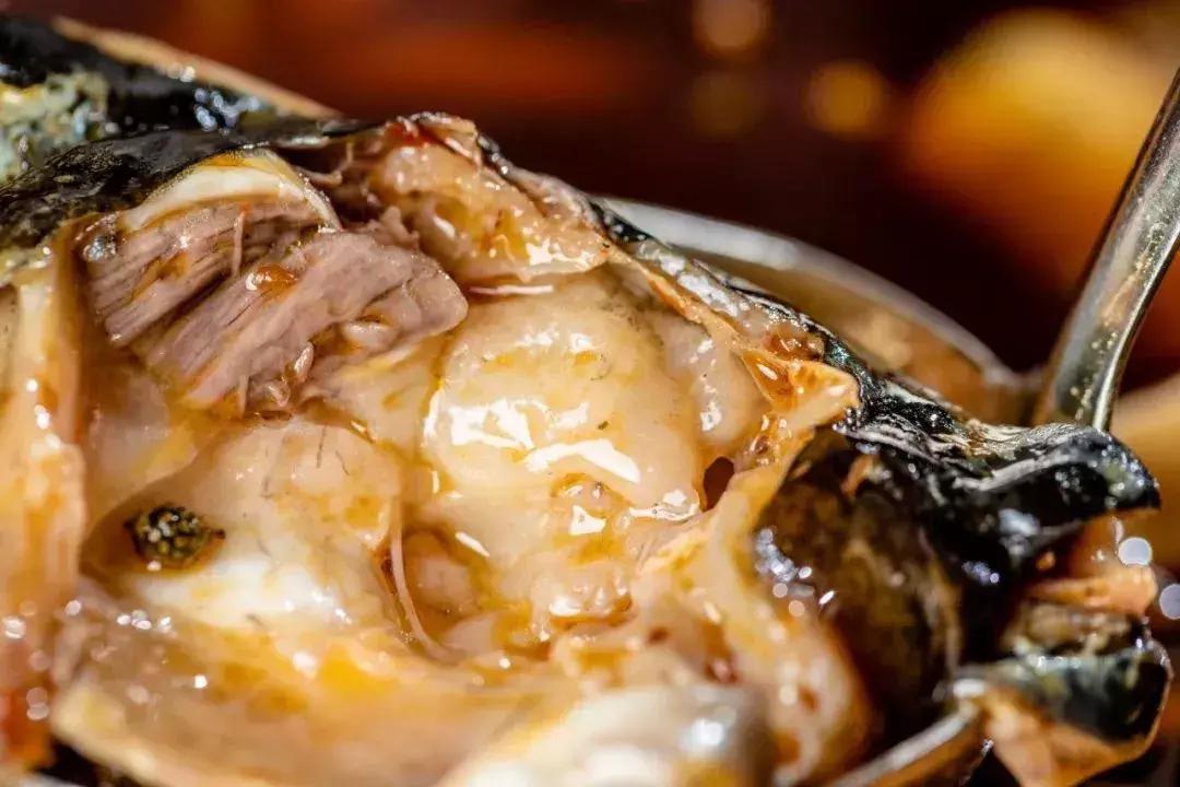 爽爆美蛙鱼头火锅,陕西汉中美蛙鱼头优惠