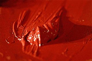 什么是犀皮漆,犀皮漆的特点