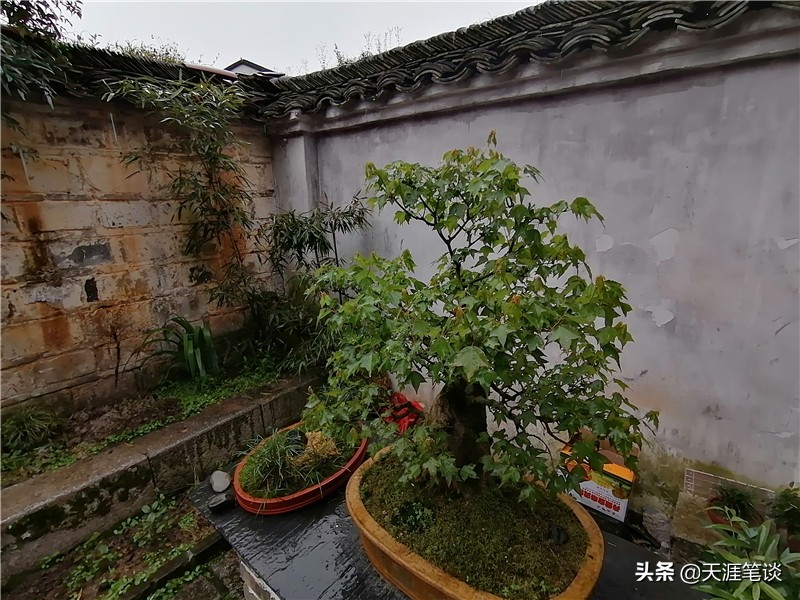 走进查济,查济古镇门票32元