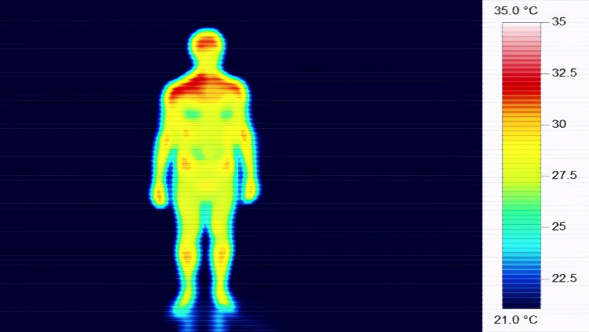 阴毛、腋毛和头发，人类在进化中为何保留了这几个部位的毛发？