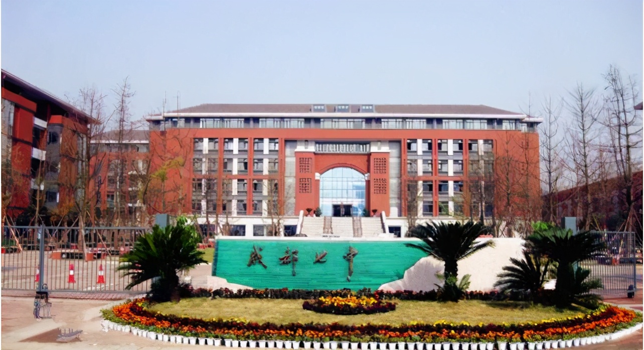 成都小升初2024大摇号是哪些学校,2020年小升初大摇号