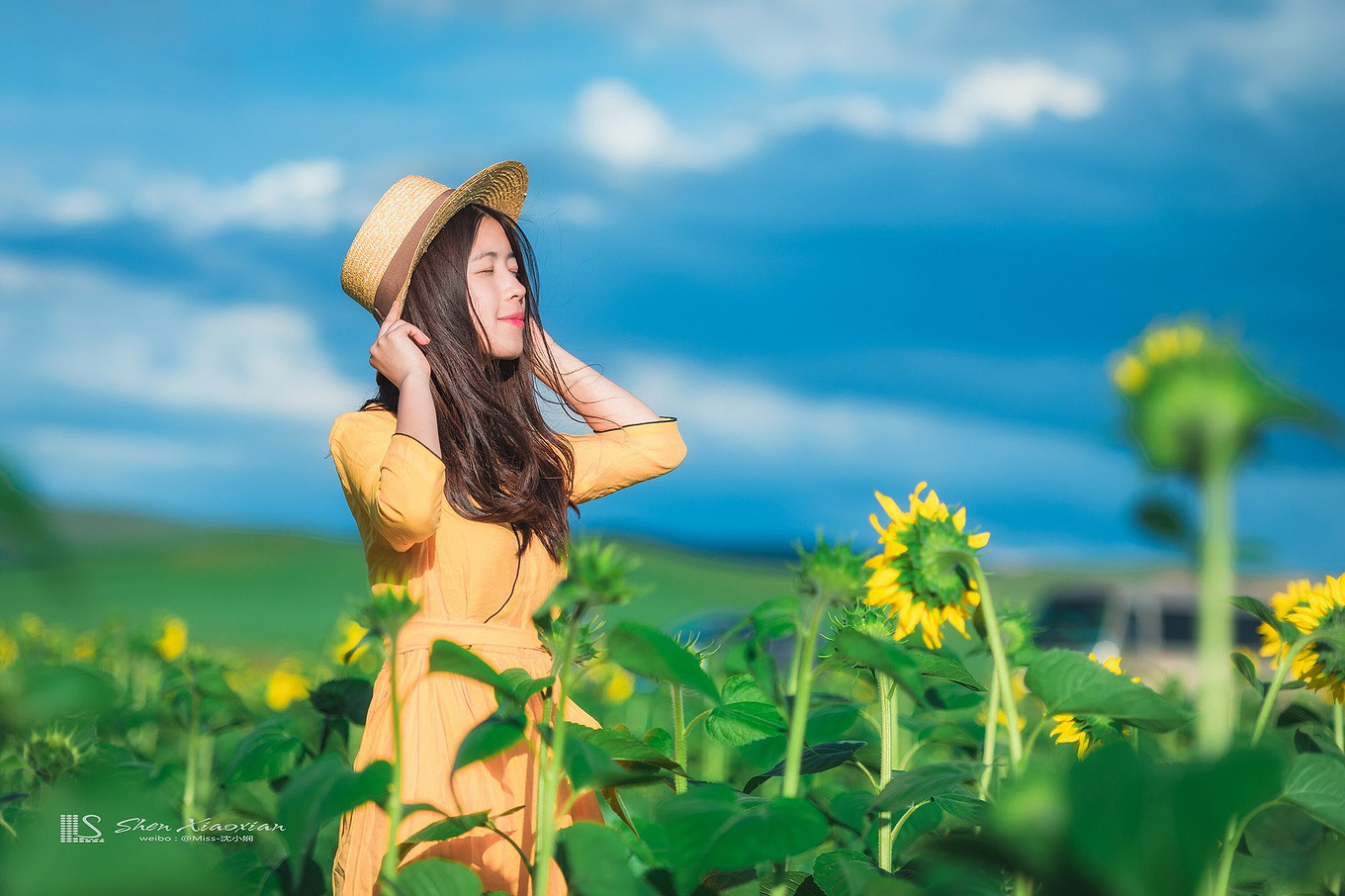 八月的锡林郭勒,8月的锡林郭勒