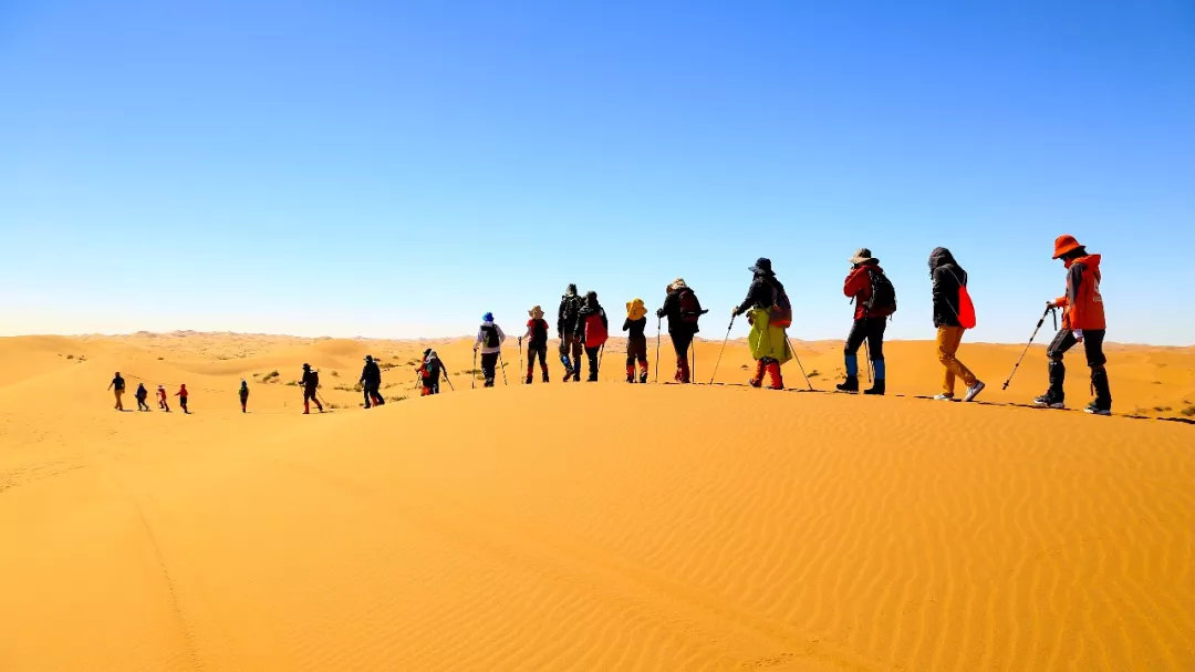沙漠自然教育夏令营,2020沙漠夏令营报名