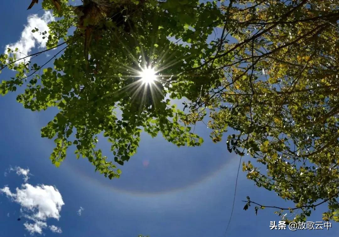 《立夏有约:万物疯长,灼灼灿灿》