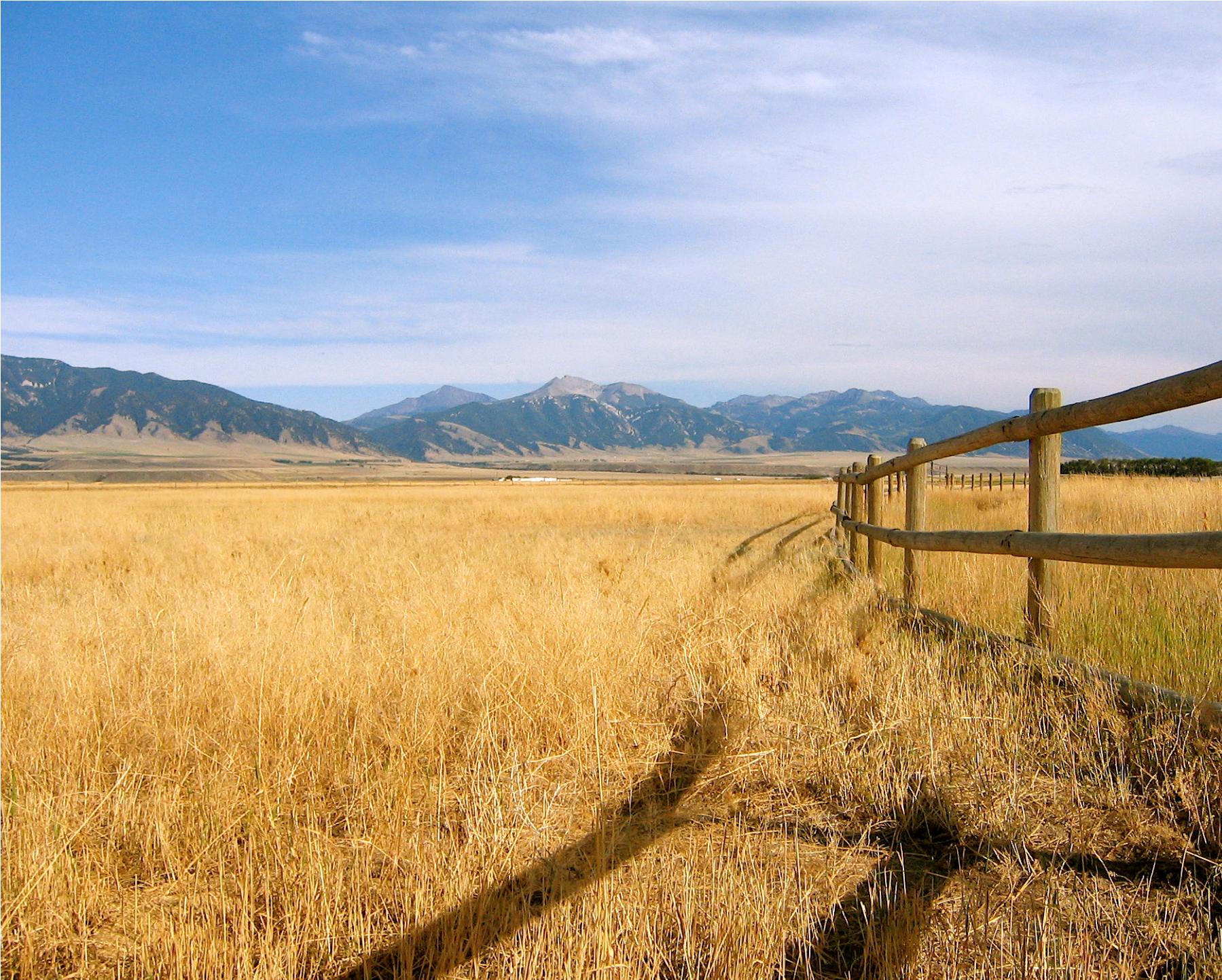 单反相机的基本原理和构成,单反相机使用小常识