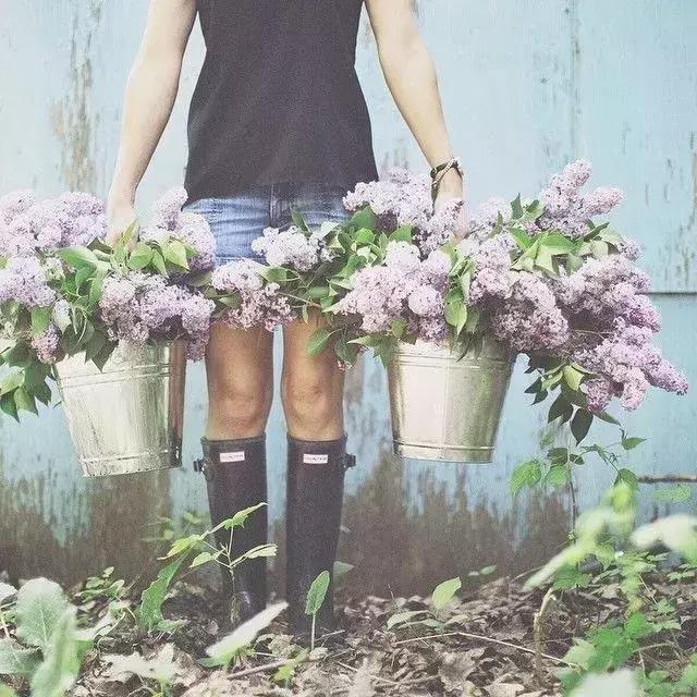 开花店一年能挣多少钱,花店到底利润有多少