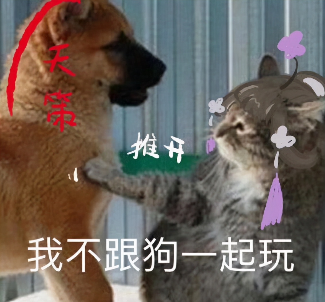 同为老五门，却势如水火！剑三奶花与天策的恩怨只有老玩家才知道