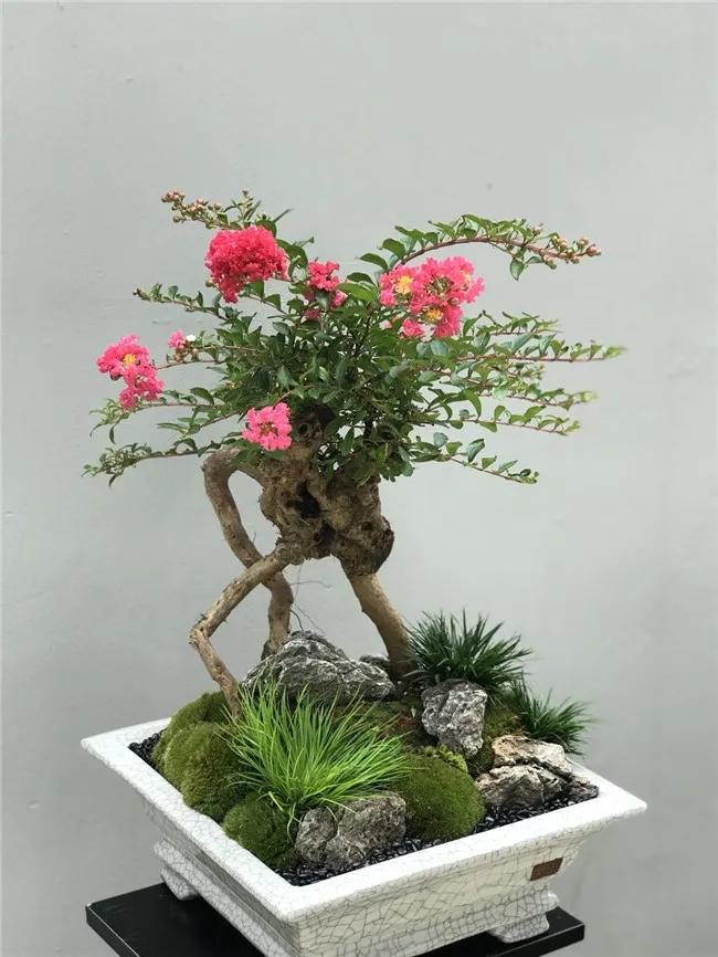 这家不足50㎡的花店，年营业额竟达300多万，被称“花痴”的他是怎么做到的？