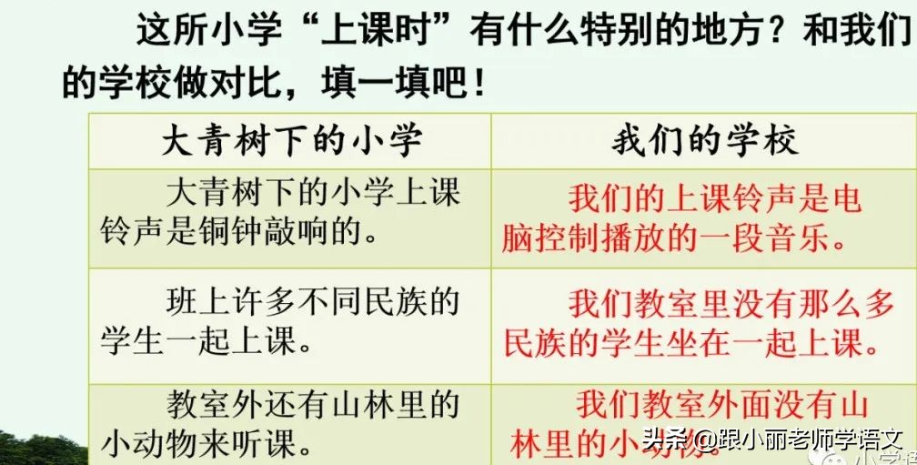 大青树下的小学重要背诵内容,大青树下的小学重点知识点