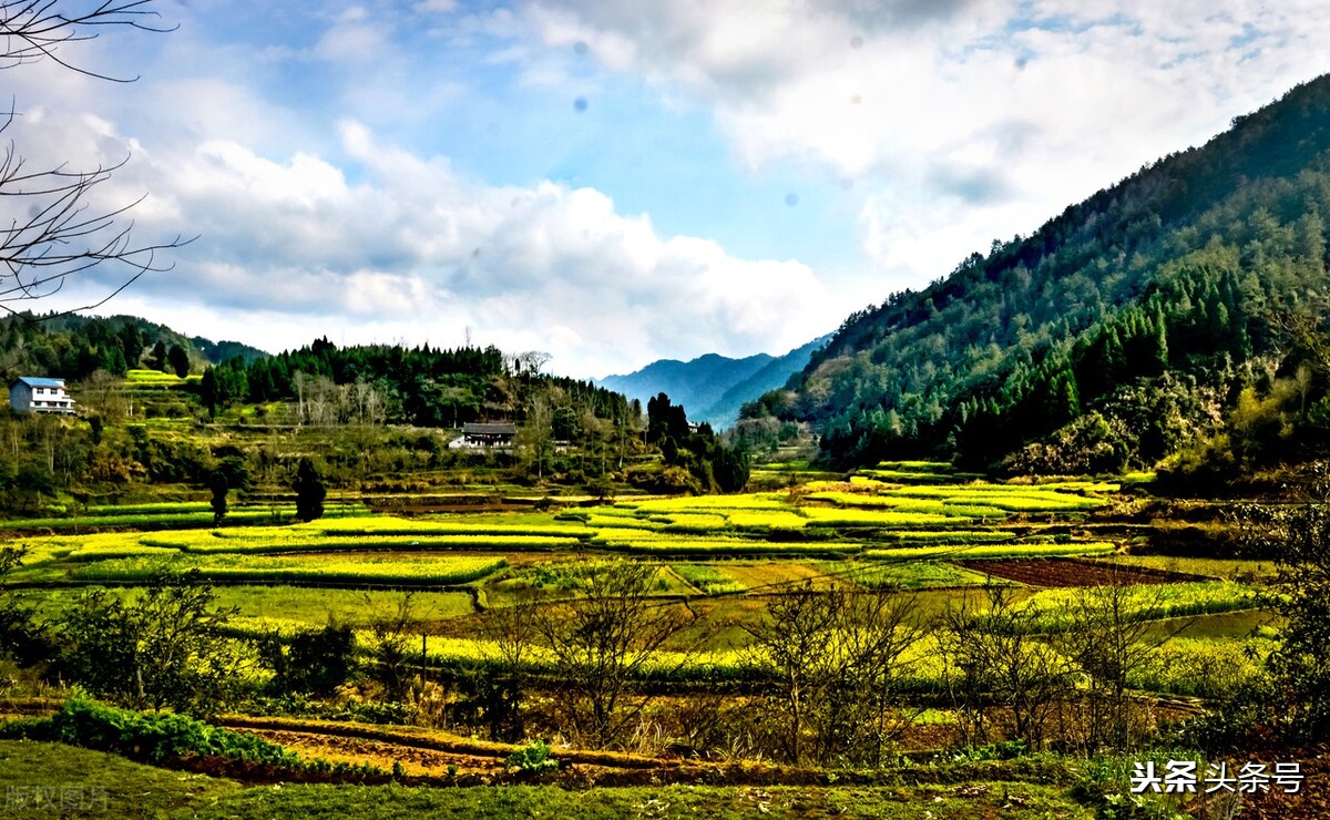 沅陵的人沈从文,沈从文湘西凤凰人