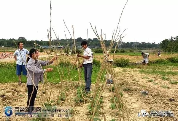 未来三年，百色乡村将大变样！我市将投资89.81亿元进行乡村风貌提升行动！