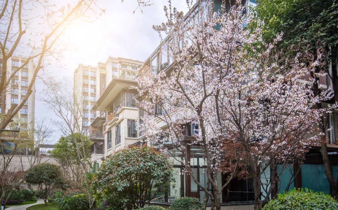 龙湖的洋房产品,龙湖第四代城市洋房