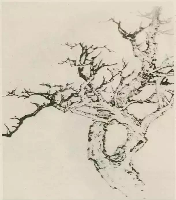 怎么画树最简单而且还最好看,怎么画树才更真实