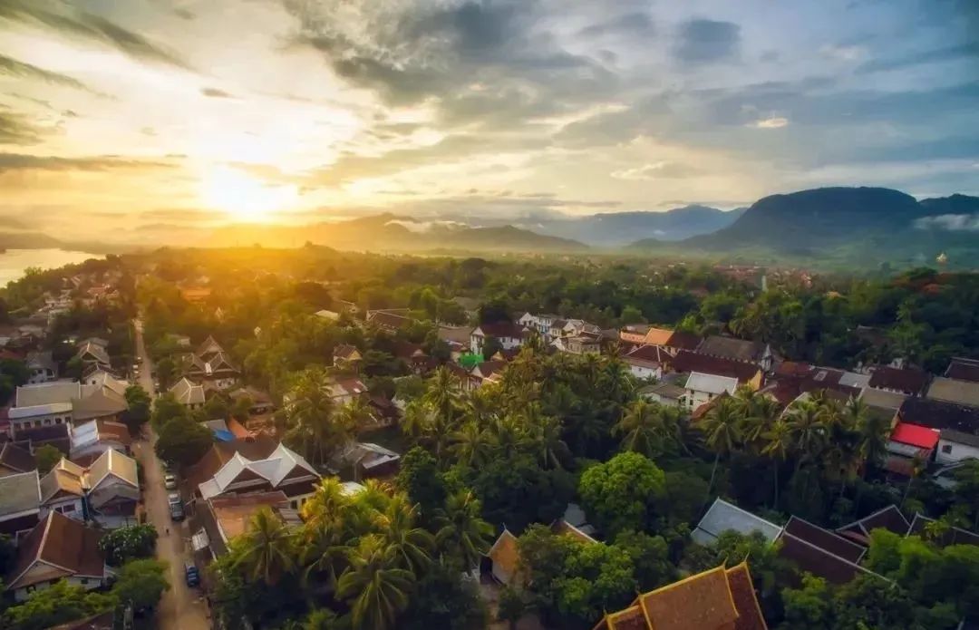 健康养生如天成，老挝特产铸永恒！老挝原生态系列全新上线