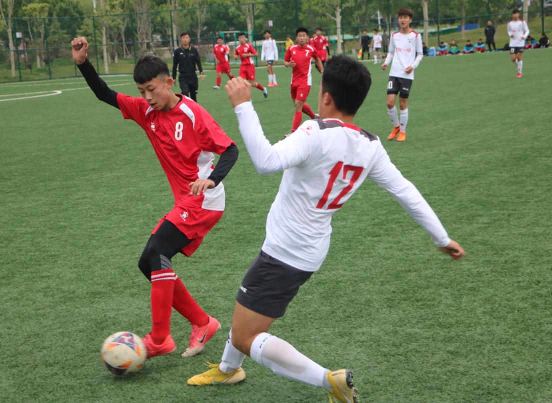 2019泰山足球小将,泰山足球最新比赛赛程