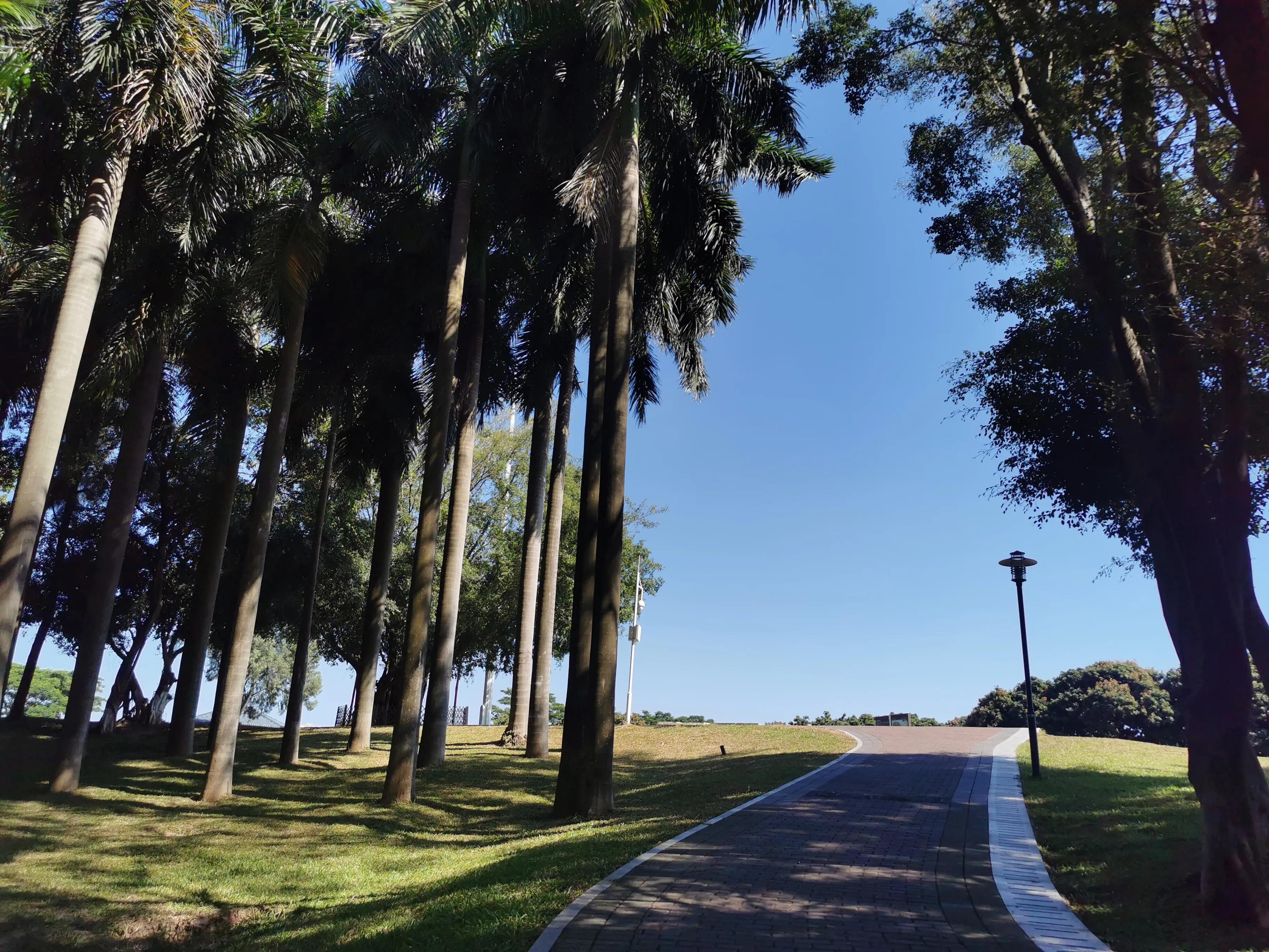 深圳石岩一日游必去的地方,深圳石岩湖一日游攻略