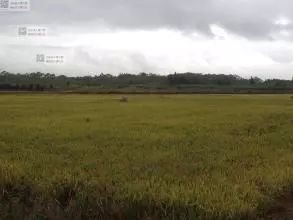 练就一副好身子，轻轻松松向前跑---裕发食品有限公司品牌故事