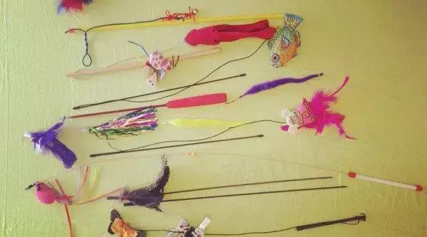 猫咪为啥喜欢玩袋子 (为什么猫咪喜欢吃塑料袋)