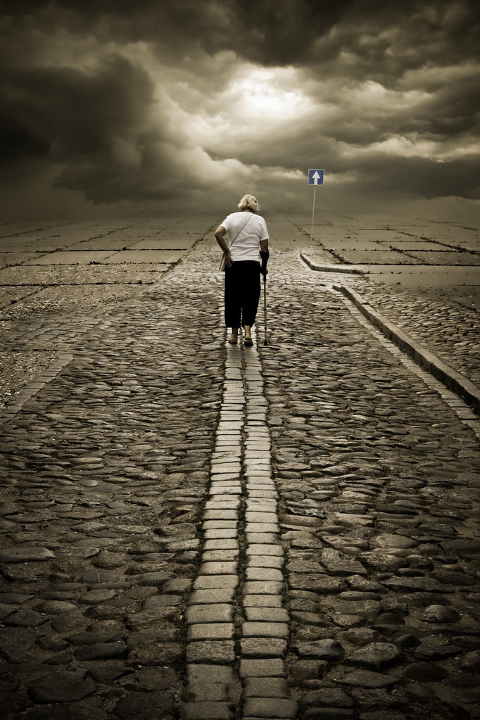 璺戦┈璺戞,璺戦┈涓虹敓