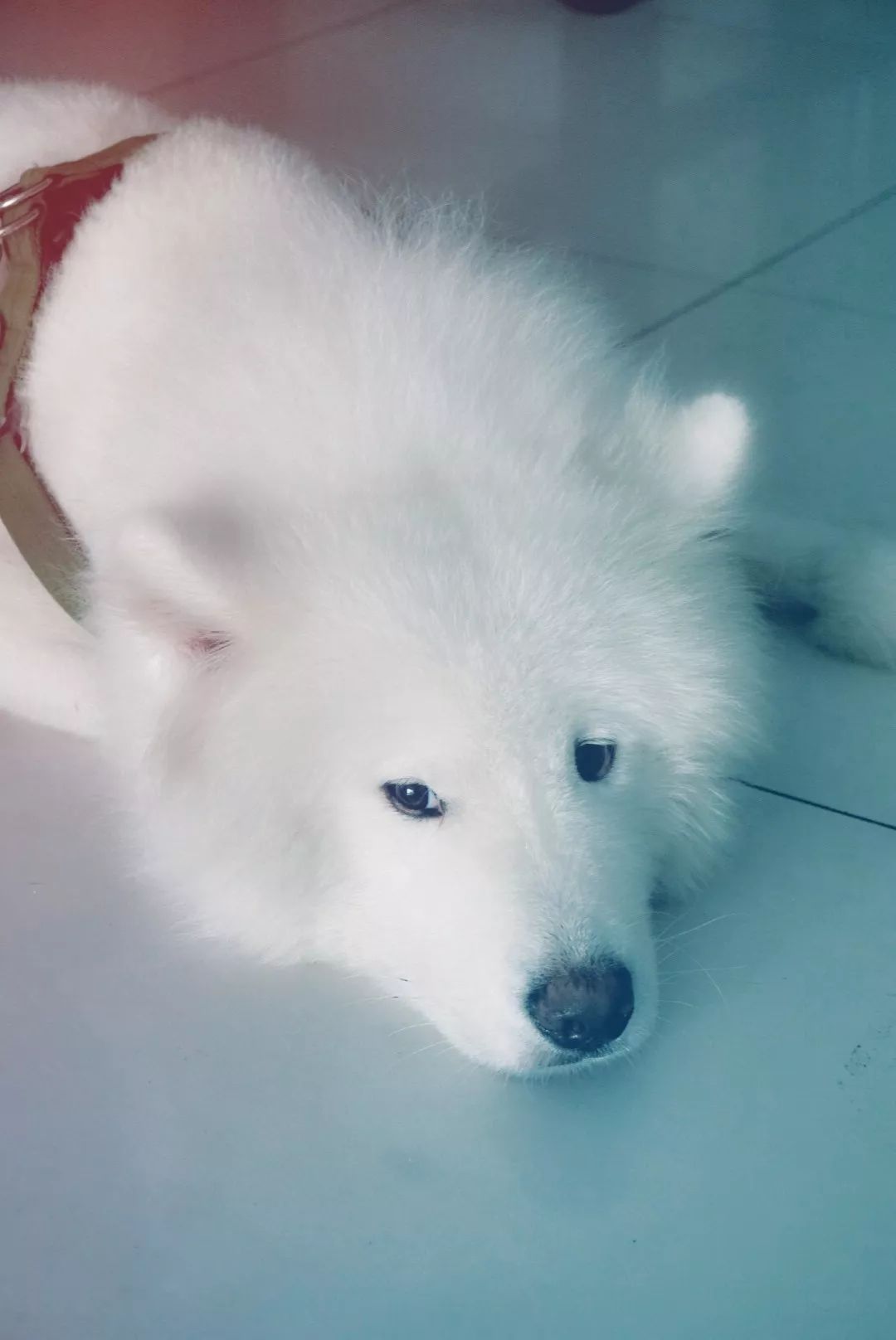 恒隆对面街店铺推荐,恒隆广场对面的甜品店