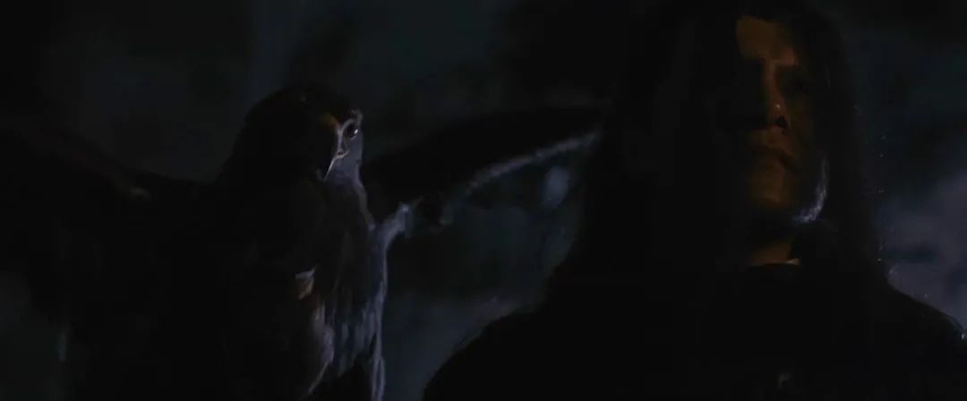 上线2天，就拿一个冠军，这部《有翡》番外真给“网络电影”长脸