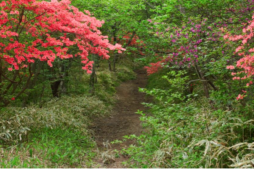 <html>
<head><title>502BadGateway</title></head>
<body>
<center><h1>502BadGateway</h1></center>
<hr><center>nginx</center>
</body>
</html>
<!--apaddingtodisableMSIEandChromefriendlyerrorpage-->
<!--apaddingtodisableMSIEandChromefriendlyerrorpage-->
<!--apaddingtodisableMSIEandChromefriendlyerrorpage-->
<!--apaddingtodisableMSIEandChromefriendlyerrorpage-->
<!--apaddingtodisableMSIEandChromefriendlyerrorpage-->
<!--apaddingtodisableMSIEandChromefriendlyerrorpage-->
