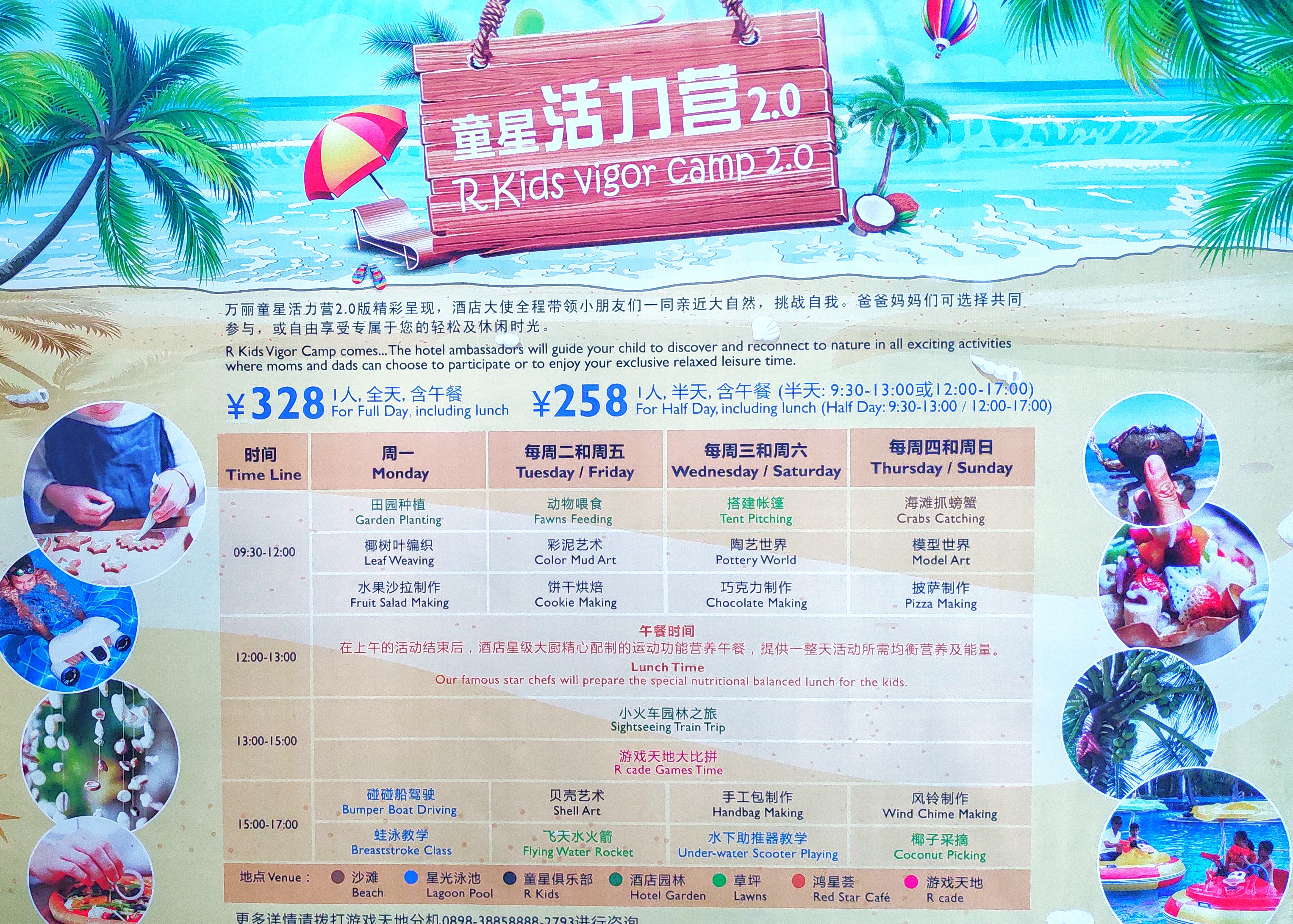 都是网红惹的祸,都是网红惹的祸完整版