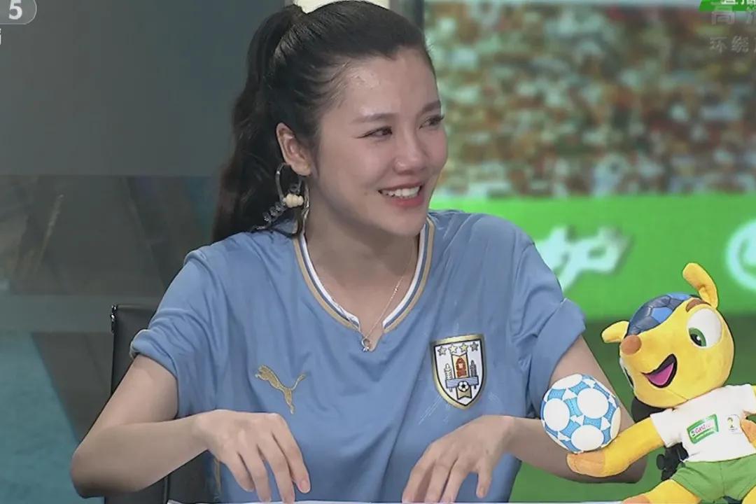 央视欧洲杯转播,央视欧洲杯回放