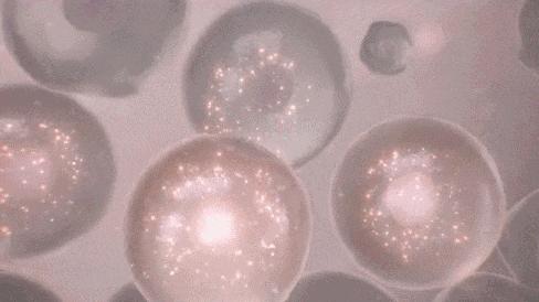 马应龙去除眼纹,马应龙去细纹