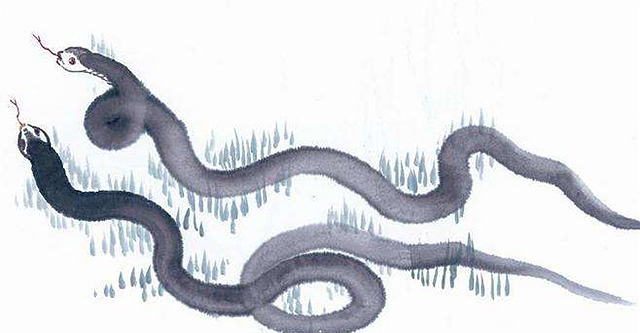 蛇为什么要三年后才报仇,蛇真的会报仇吗