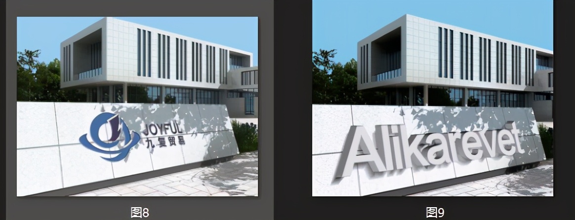 美国宠食真相网站2021认可猫狗粮榜单出炉，6款大陆有售