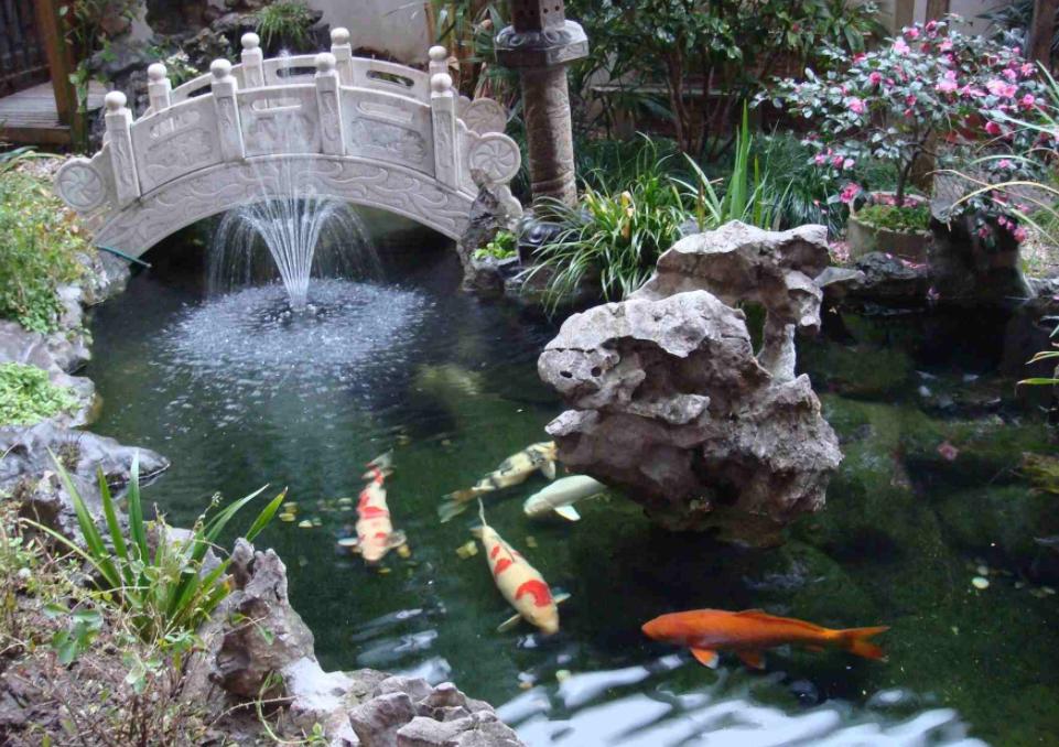 养鱼的技巧庭院小鱼池,庭院鱼池鱼缸组合
