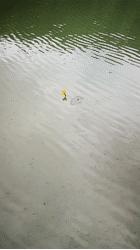 怎样使用偏振镜拍照,偏振镜拍人像的使用方法