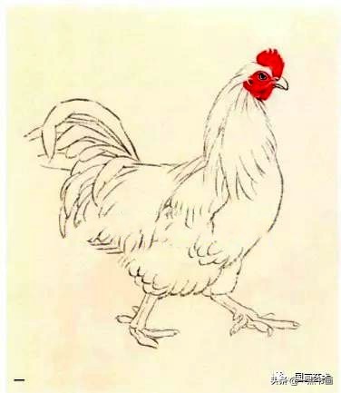 写意国画鸡画法技巧,小写意画鸡怎么画视频教学