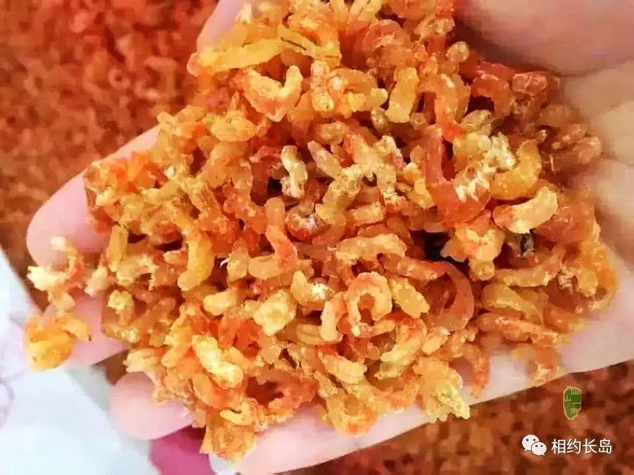 闀垮矝缃戠孩娴烽矞,闀垮矝娴烽矞澶ч鍥剧墖