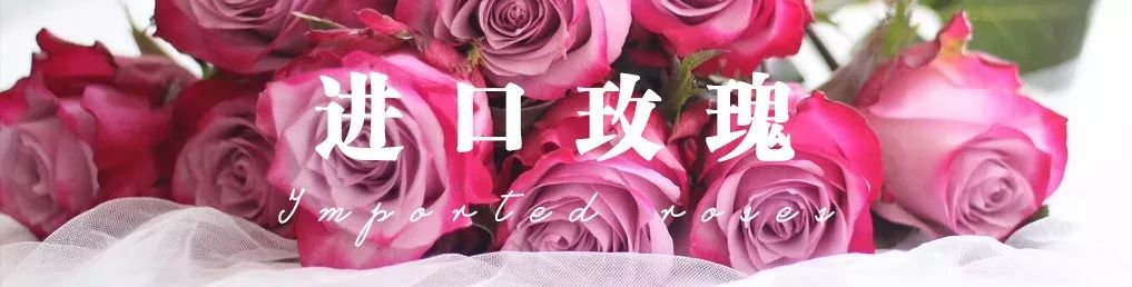 花店必备的5款玫瑰,花店常用的10款玫瑰花是哪些品种