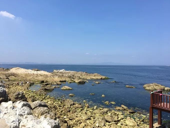 自驾游烟台养马岛旅游攻略,烟台一天游攻略养马岛