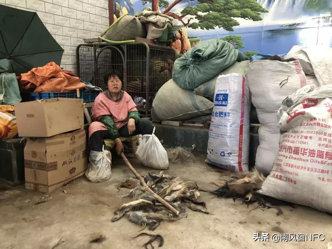 假发之都许昌版,假发之都许昌占比