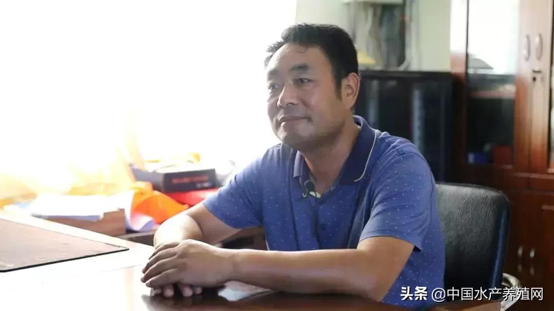 曾经生意亏损100万,曾经创业亏损100万