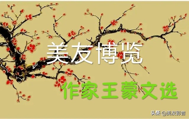 【美友博览】作家王蒙自传《半生多事·精彩与荒谬》