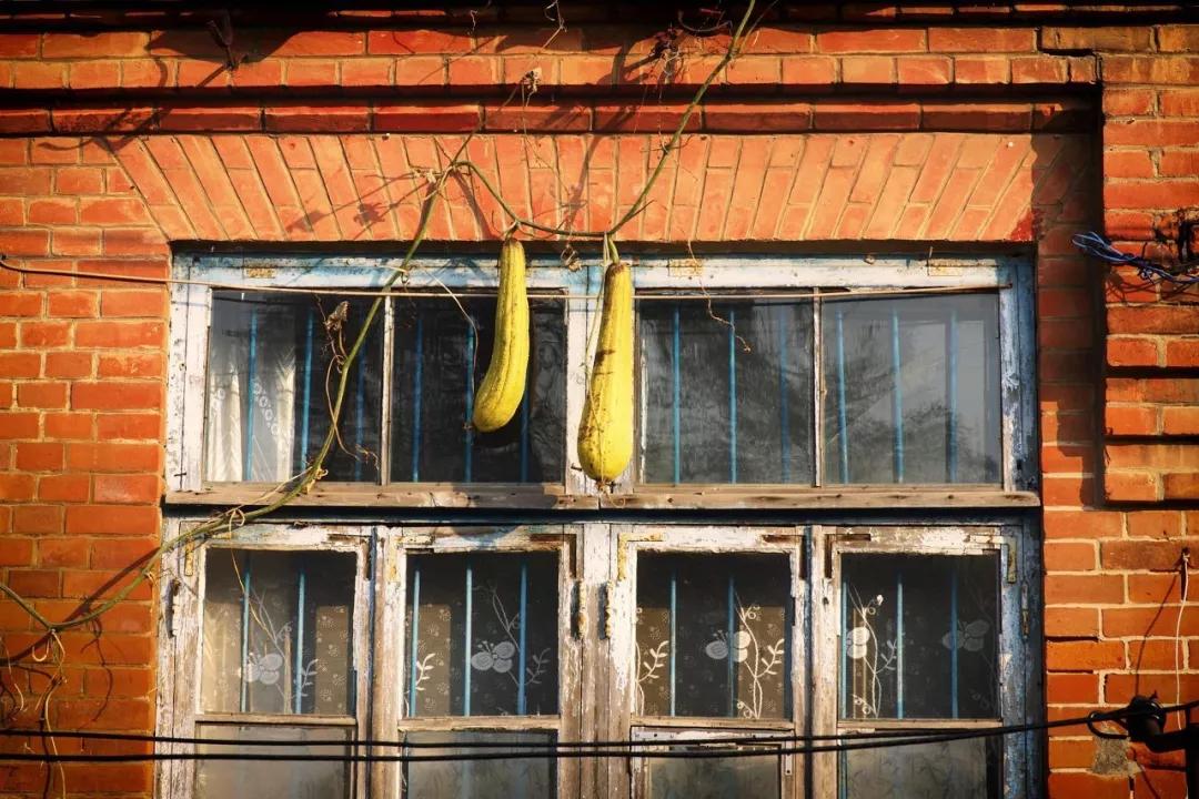 美过三亚!比厦门浪漫!中国这座海滨老城,去一次相当于环游世界