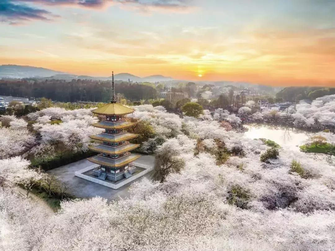 武汉刷屏了,武汉刷屏