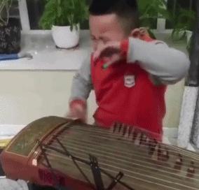 搞笑视频,搞笑动图gif猫咪