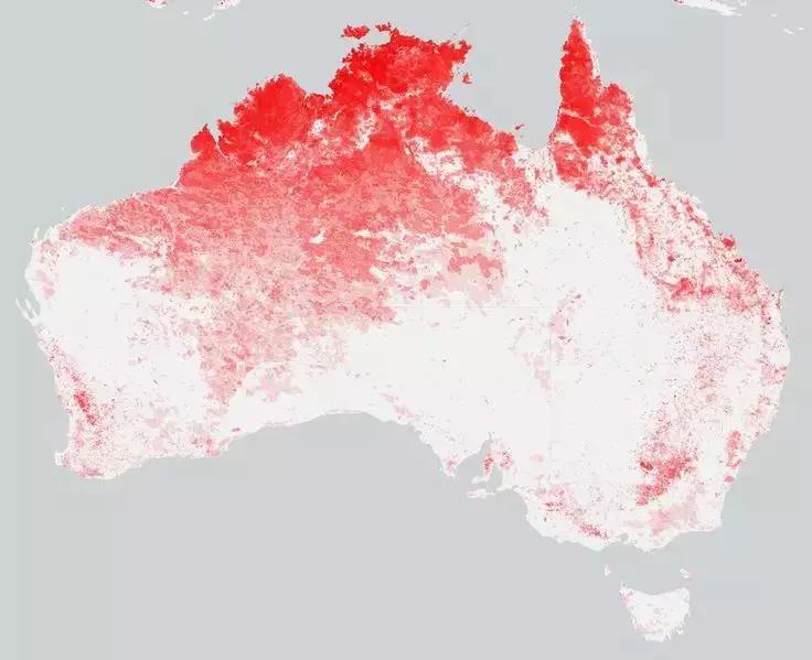 难灭的澳洲山火：桉树“点火”，猛禽“助燃”