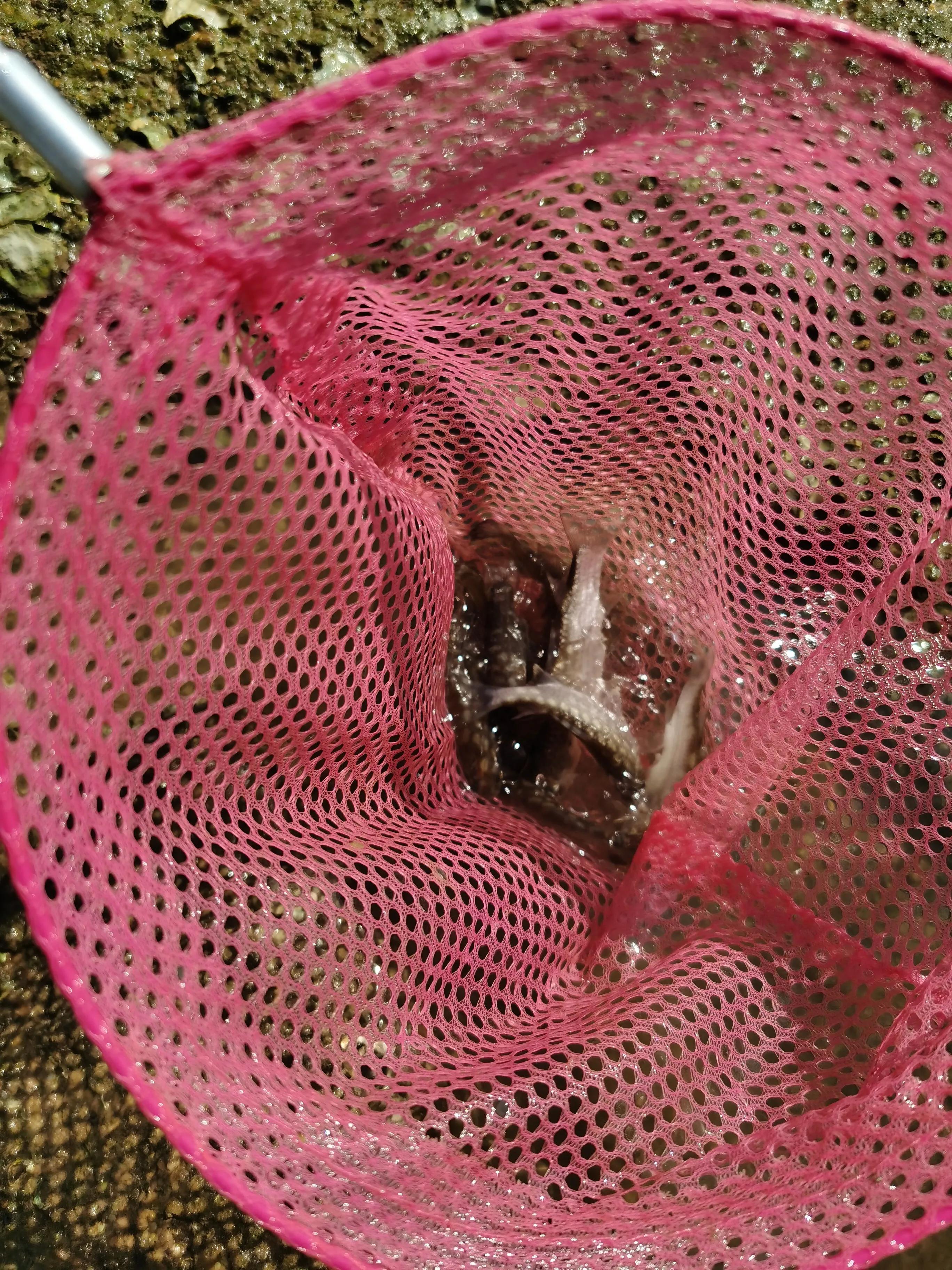 珠海偏僻人少的赶海地,珠海沙滩晚上露营赶海最佳地方