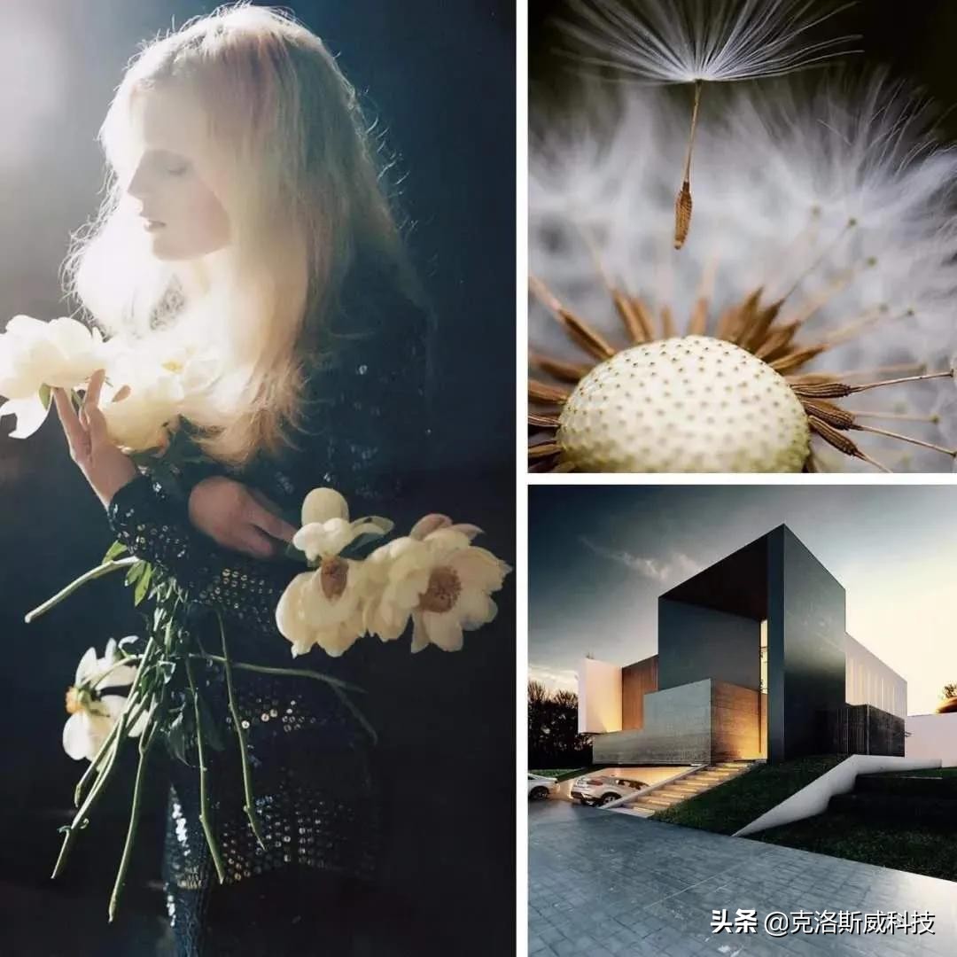 独特又耐看的墙面,优雅的墙面风景